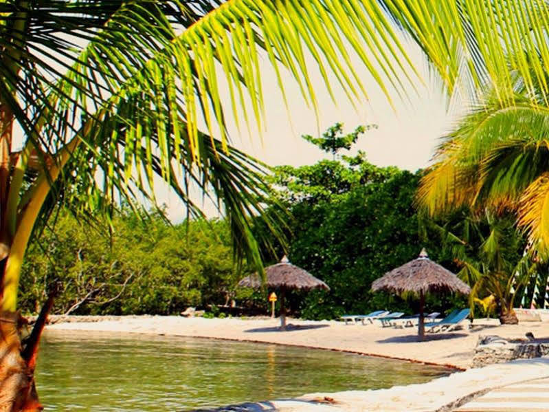 Whispering Palms Island Resort Bacolod Extérieur photo