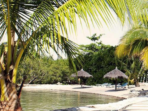 Whispering Palms Island Resort Bacolod Extérieur photo
